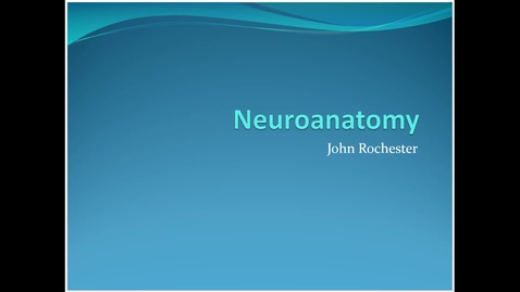 Thumbnail for entry Phase 2 neuroanatomy refresher 2