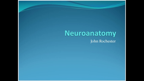 Thumbnail for Phase 2 neuroanatomy refresher 2