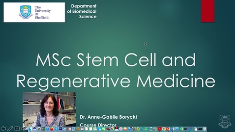 Thumbnail for entry MSc Stem Cell and Regenerative Medicine