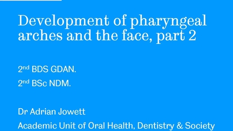 Thumbnail for entry Development of pharyngeal arches and the face, part 2 - Quiz