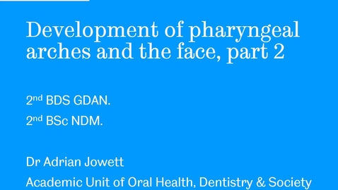 Thumbnail for Development of pharyngeal arches and the face, part 2 - Quiz