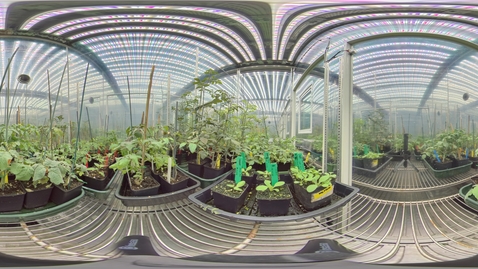 Thumbnail for Biosciences - Controlled environment growth chambers 3