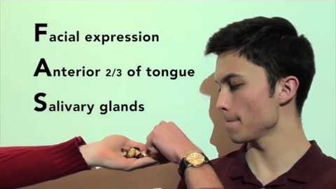 Thumbnail for The Facial Nerve