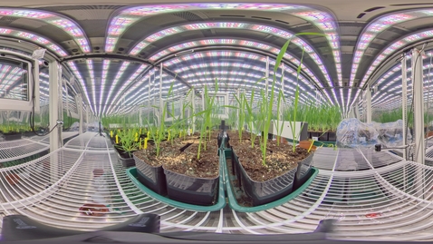 Thumbnail for Biosciences - Controlled environment growth chambers 1