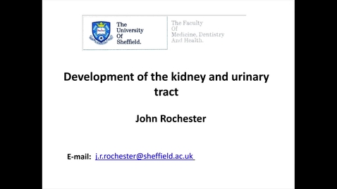 Thumbnail for entry Embryology of the Kidney and urinary tract
