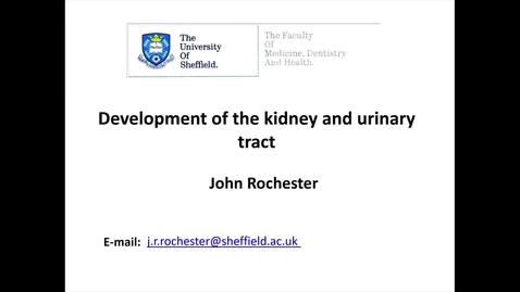 Thumbnail for Embryology of the Kidney and urinary tract