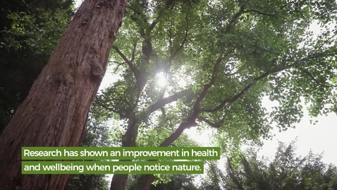 Thumbnail for Our Green Campus - Dr Ross Cameron
