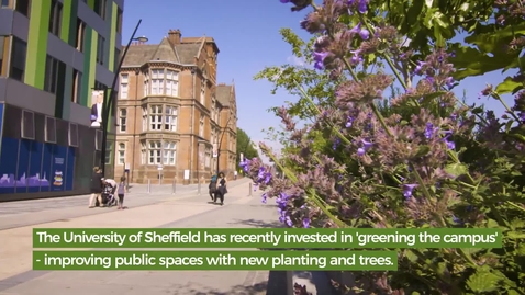 Thumbnail for Our Green Campus - main film