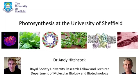 Thumbnail for entry Taster lecture - Photosynthesis