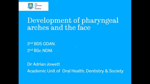 Thumbnail for entry Development of pharyngeal arches and the face 1 - Quiz