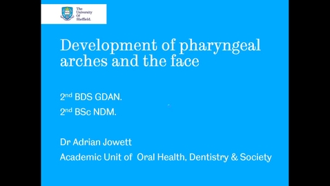Thumbnail for Development of pharyngeal arches and the face 1 - Quiz