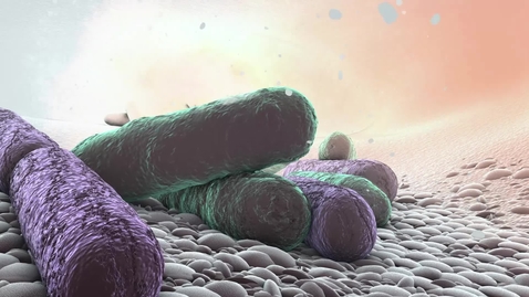 Thumbnail for Antibiotic Resistance: Man Vs. Microbe