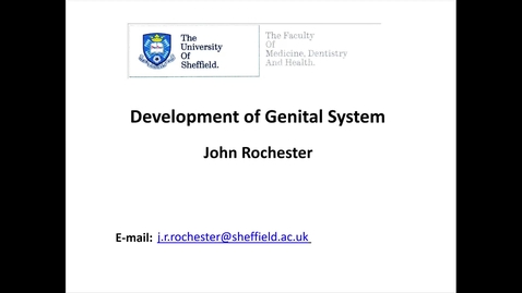Thumbnail for entry Embryology of the genital system
