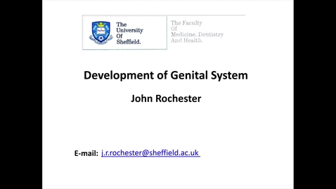 Thumbnail for Embryology of the genital system