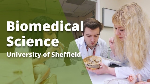 Thumbnail for entry Undergraduate study in Biomedical Science at Sheffield