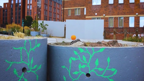 Thumbnail for Urban Biophilia with Nigel Dunnett