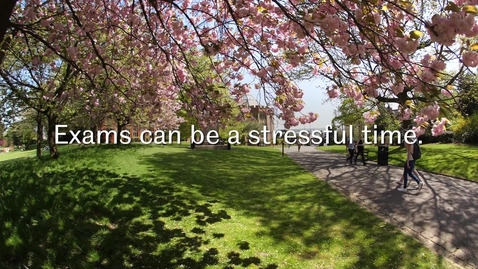 Thumbnail for Our students' tips for exam and revision success