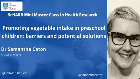 Thumbnail for ScHARR Mini Master Class in Health Research # 11 - Dr Sam Caton