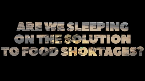 Thumbnail for entry Are we sleeping on the solution to food shortages?