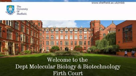 Thumbnail for entry Molecular Biology and Biotechnology - Postgraduate Open Day 2021