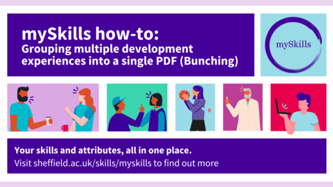Thumbnail for Grouping multiple development experiences into a single pdf (Bunching)