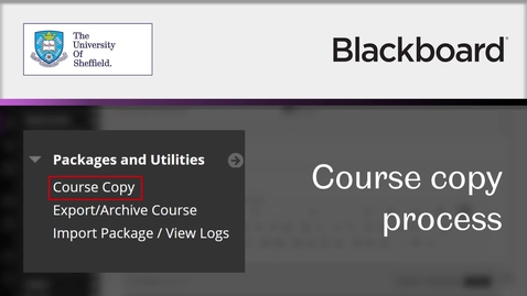 Thumbnail for How to use the course copy tool