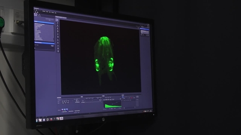 Thumbnail for Wolfson Light Microscopy Facility