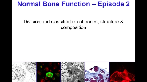 Thumbnail for entry Normal Bone Function - Episode 2