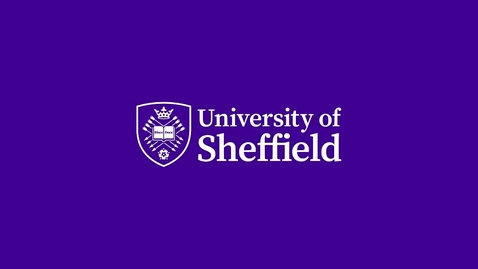 Thumbnail for Professor Fiona Lecky - Improving Trauma Care through Research – what are the best strategies?