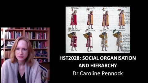 Thumbnail for Social organisation and hierarchy