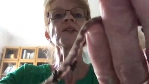 Thumbnail for Biology of Worms - Undergraduate tutorial