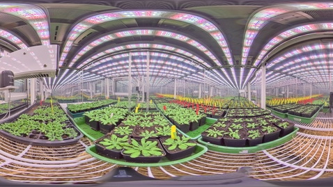 Thumbnail for Biosciences - Controlled environment growth chambers 2