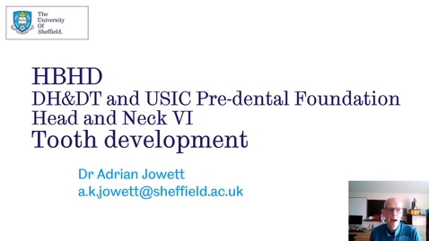 Thumbnail for 13. Head and Neck VI Part 1 - Quiz