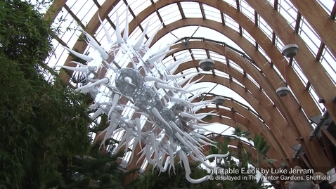 Thumbnail for Luke Jerram - Inflatable E.Coli &amp; Krebs Fest