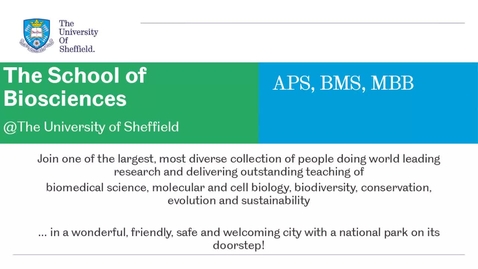 Thumbnail for Biosciences UG Briefing for UK and Global recruitment