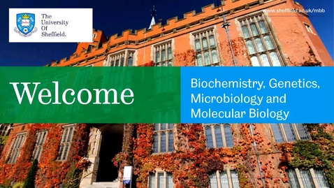 Thumbnail for entry Molecular Biology &amp; Biotechnology - Applicant Day talk