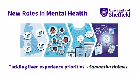 Thumbnail for entry New Roles in Mental Health: Tackling lived experience priorities