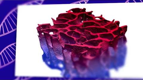 Thumbnail for INSIGNEO