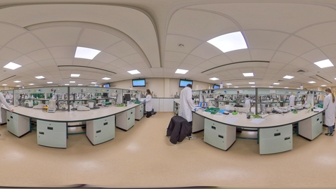 Thumbnail for Biosciences - Plant sciences lab session