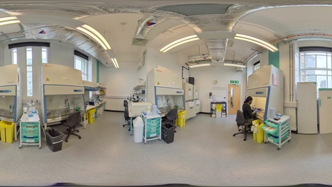 Thumbnail for Biosciences - Cell culture lab