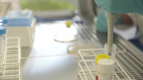 Thumbnail for Placements and Careers - Options for Biomedical Science Students