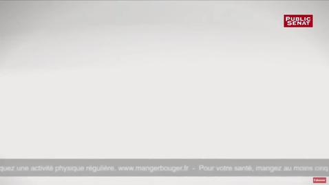 Thumbnail for Le sénat adopte la suppression de la pub dans les programmes pour enfants de France Télévisions