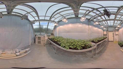 Thumbnail for Biosciences - Arthur Willis Environment Centre - Greenhouse 3