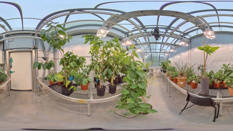 Thumbnail for Biosciences - Arthur Willis Environment Centre - Greenhouse 5