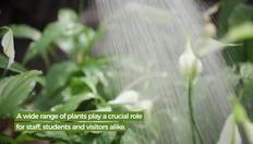 Go to Our Green Campus - Holly Fisher with duration: 30 seconds