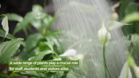 Thumbnail for Our Green Campus - Holly Fisher