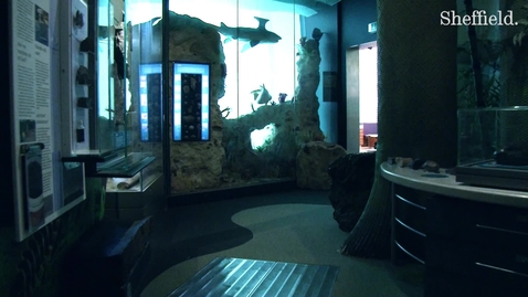 Thumbnail for Playing in a Museum