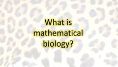 Go to What is Mathematical Biology - Maths Undergraduate talk with duration: 16 minutes, 3 seconds