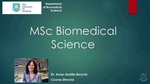 Thumbnail for entry MSc Biomedical Science