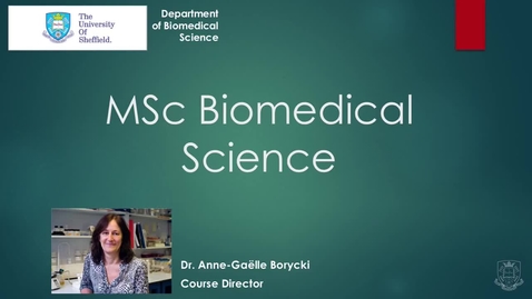 Thumbnail for MSc Biomedical Science